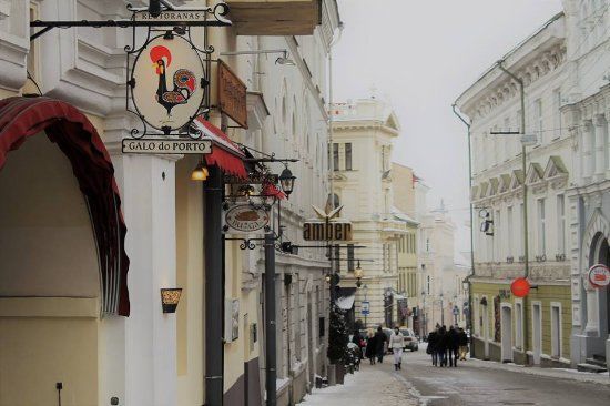 Galo do Porto
